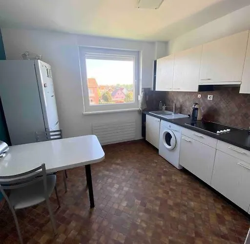 Idéal Pour Un Alsacien En Amoureux Appartement Colmar